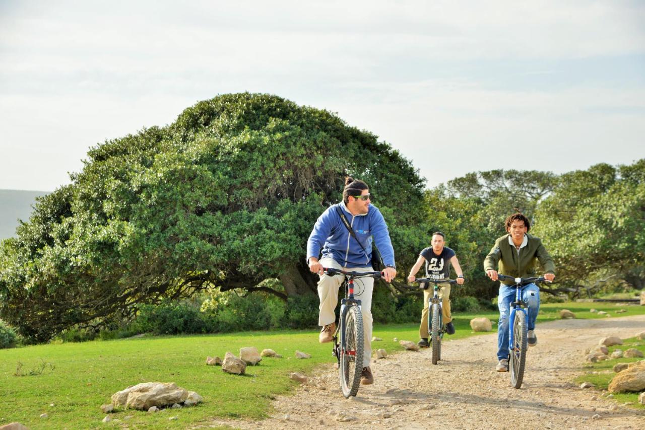 De Hoop Collection - Equipped Cottages De Hoop Nature Reserve Zewnętrze zdjęcie